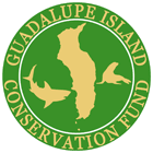 Guadalupe Island Conservation Fund
